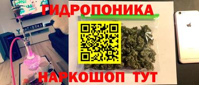 мяу мяу мука Будённовск